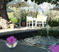 Koi Pond